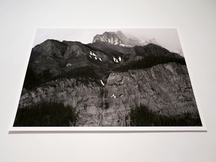 http://www.a841695758.mirunadragan.com/files/gimgs/th-12_GGallery_Mountain_web.jpg