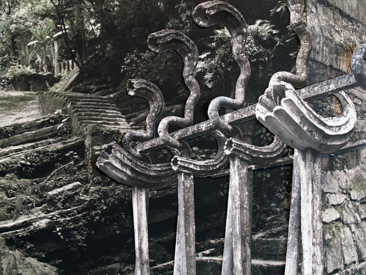 http://www.a841695758.mirunadragan.com/files/gimgs/th-6_IMG_2470_Xilitla_W.jpg