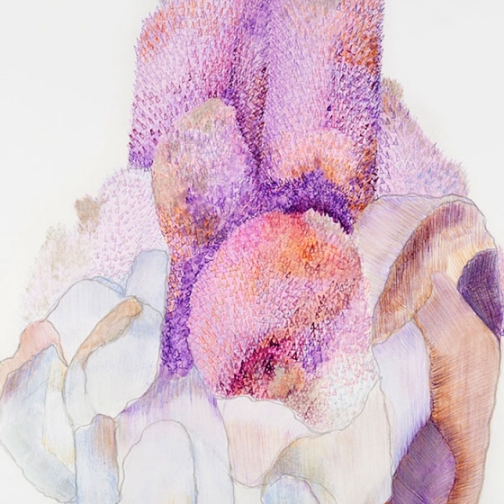 http://www.a841695758.mirunadragan.com/files/gimgs/th-23_Erratics-Draw3-detail-web_v2.jpg